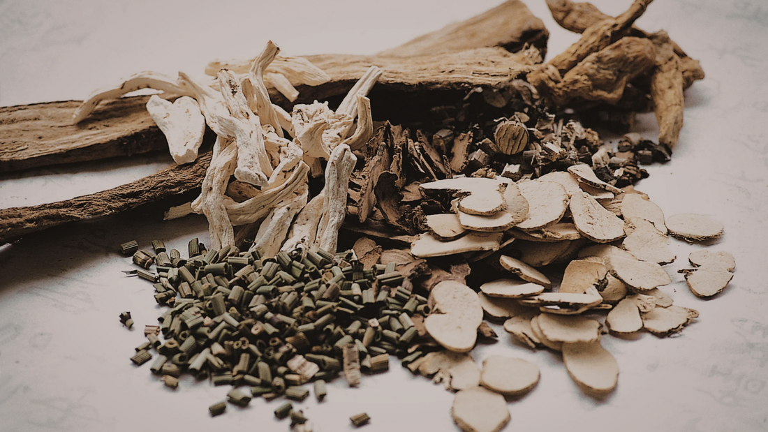 Adaptogens Explained: Benefits, Science & The Rise of Functional Mushrooms