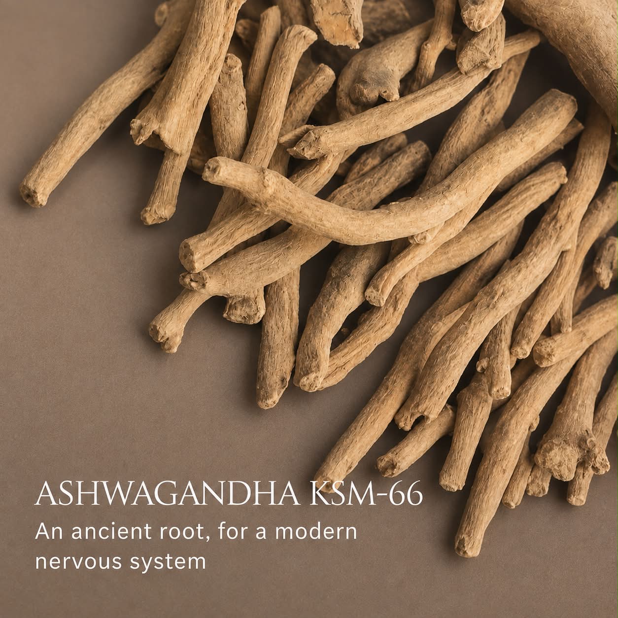Ashwagandha