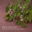 Eros Nectar