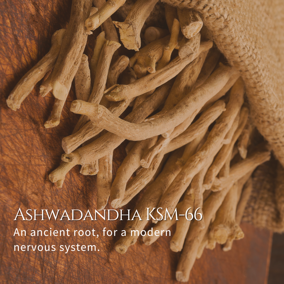 Ashwagandha_