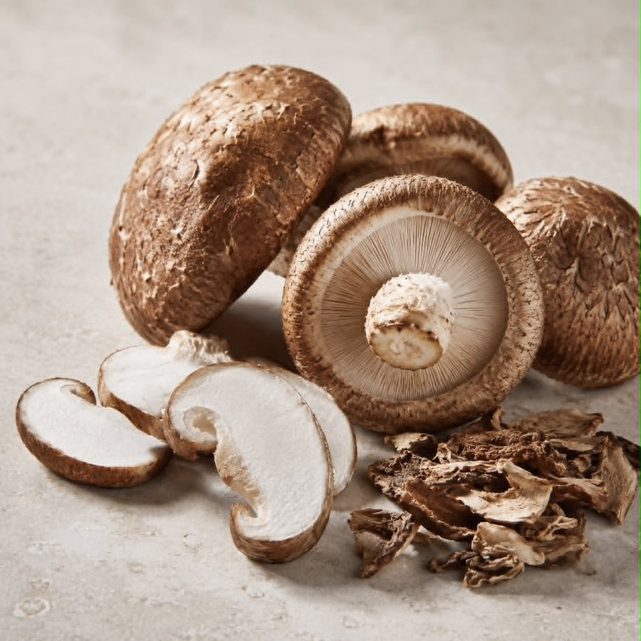 SHIITAKE MUSHROOM