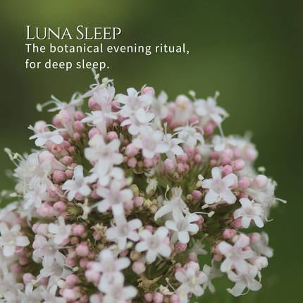 Luna Sleep