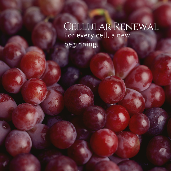 Cellular Renewal_