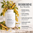 Berbérine_