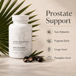 Alpha Palmetto