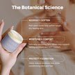 Raw Shea Butter