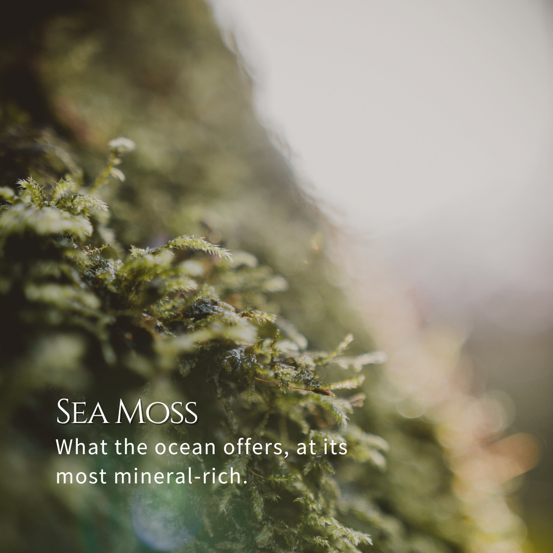 Sea Moss