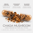 Chaga Mushroom