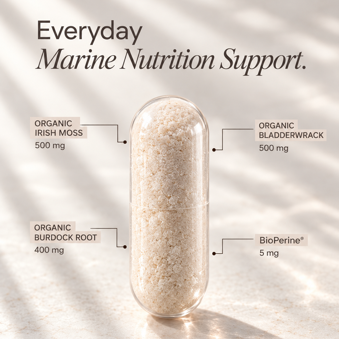 Sea Moss