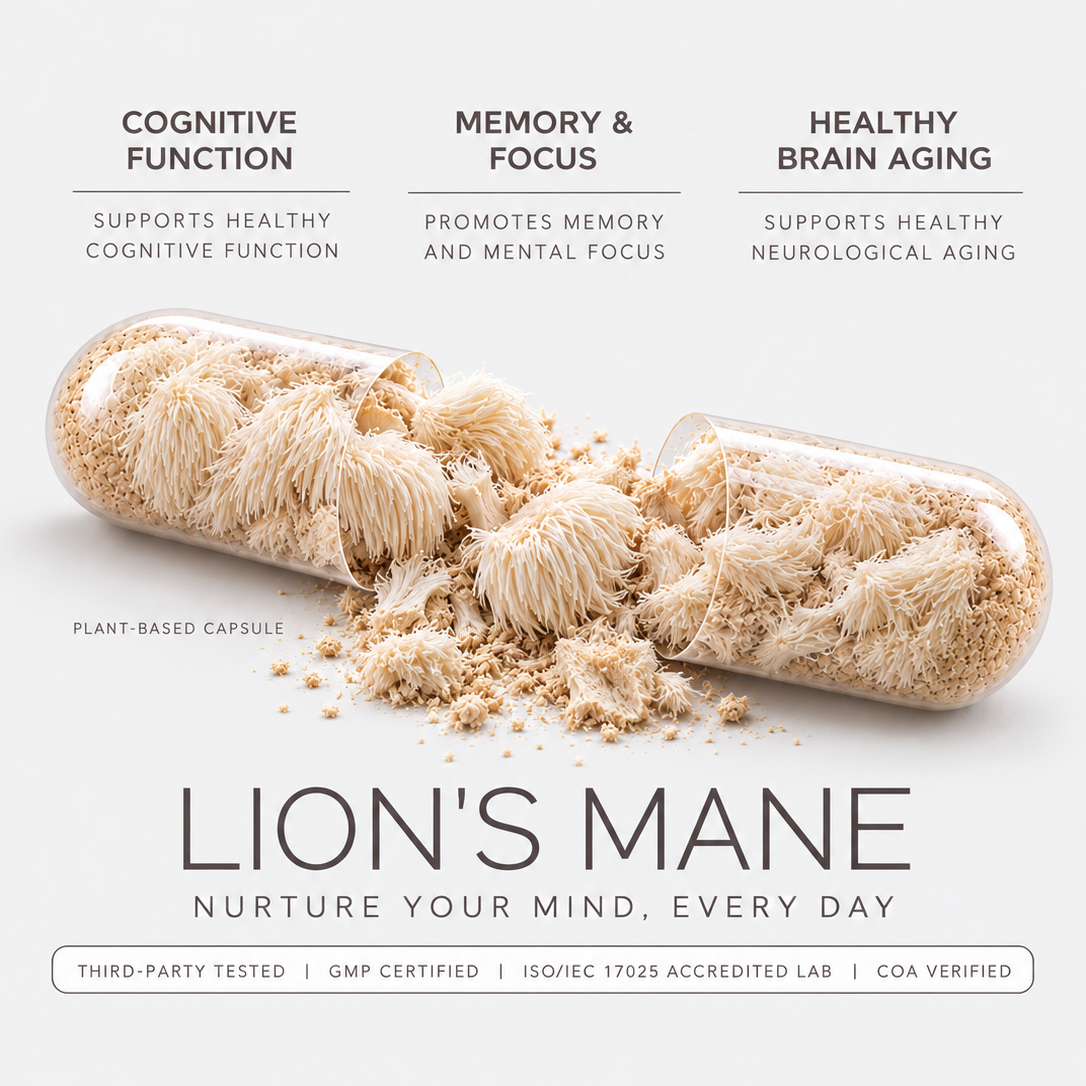 Lion's Mane Mushroom