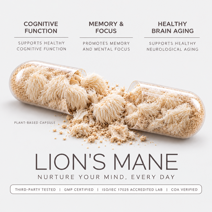 Lion's Mane Mushroom