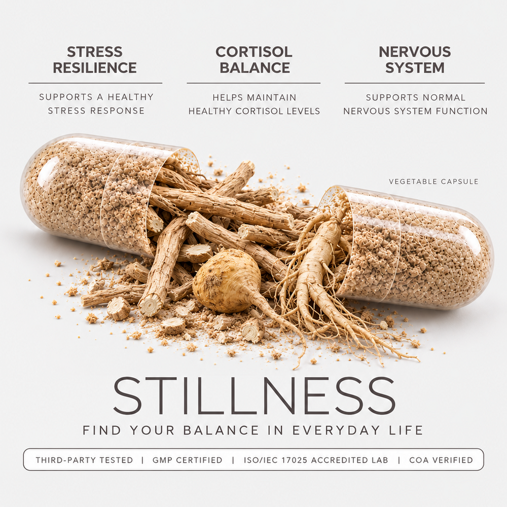 Stillness