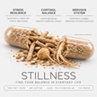 Stillness