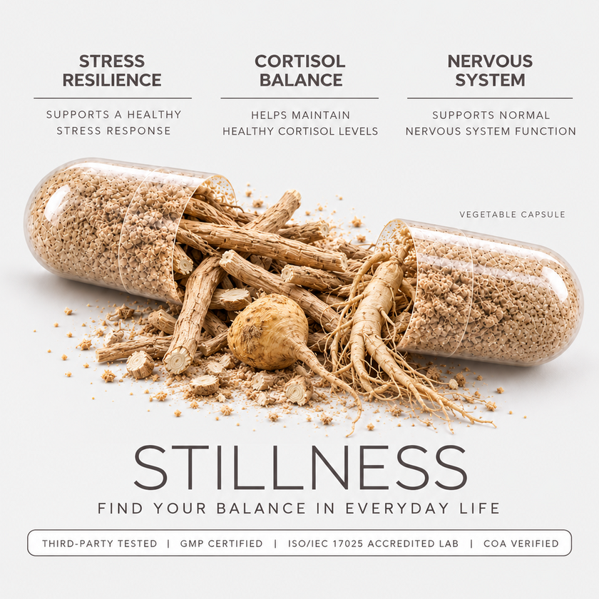 Stillness