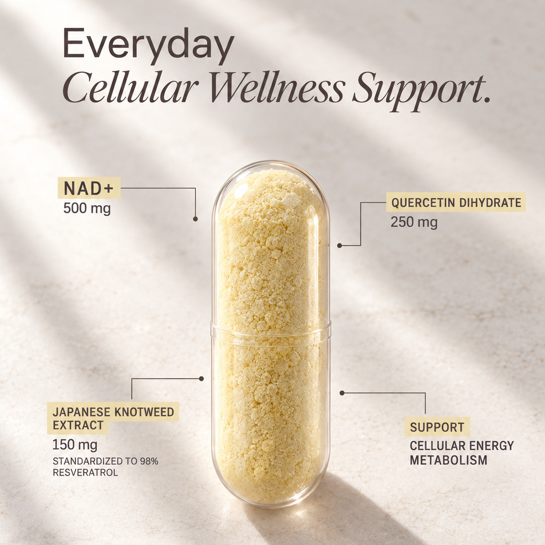 Cellular Renewal