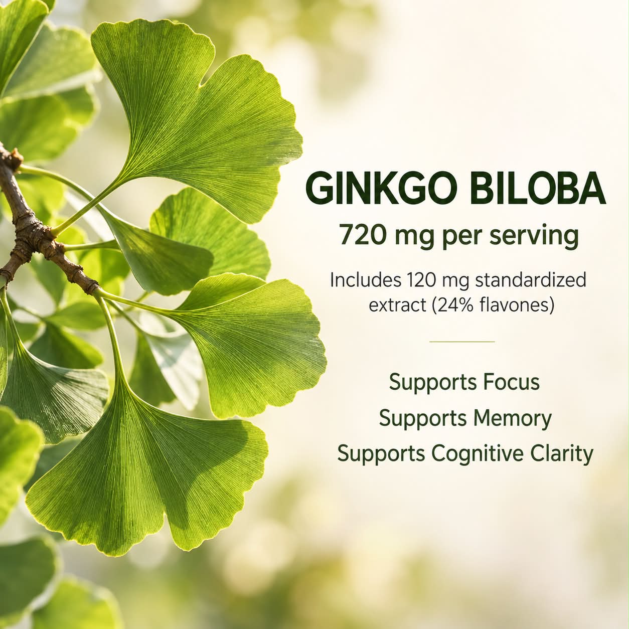 Ginkgo Clarity_