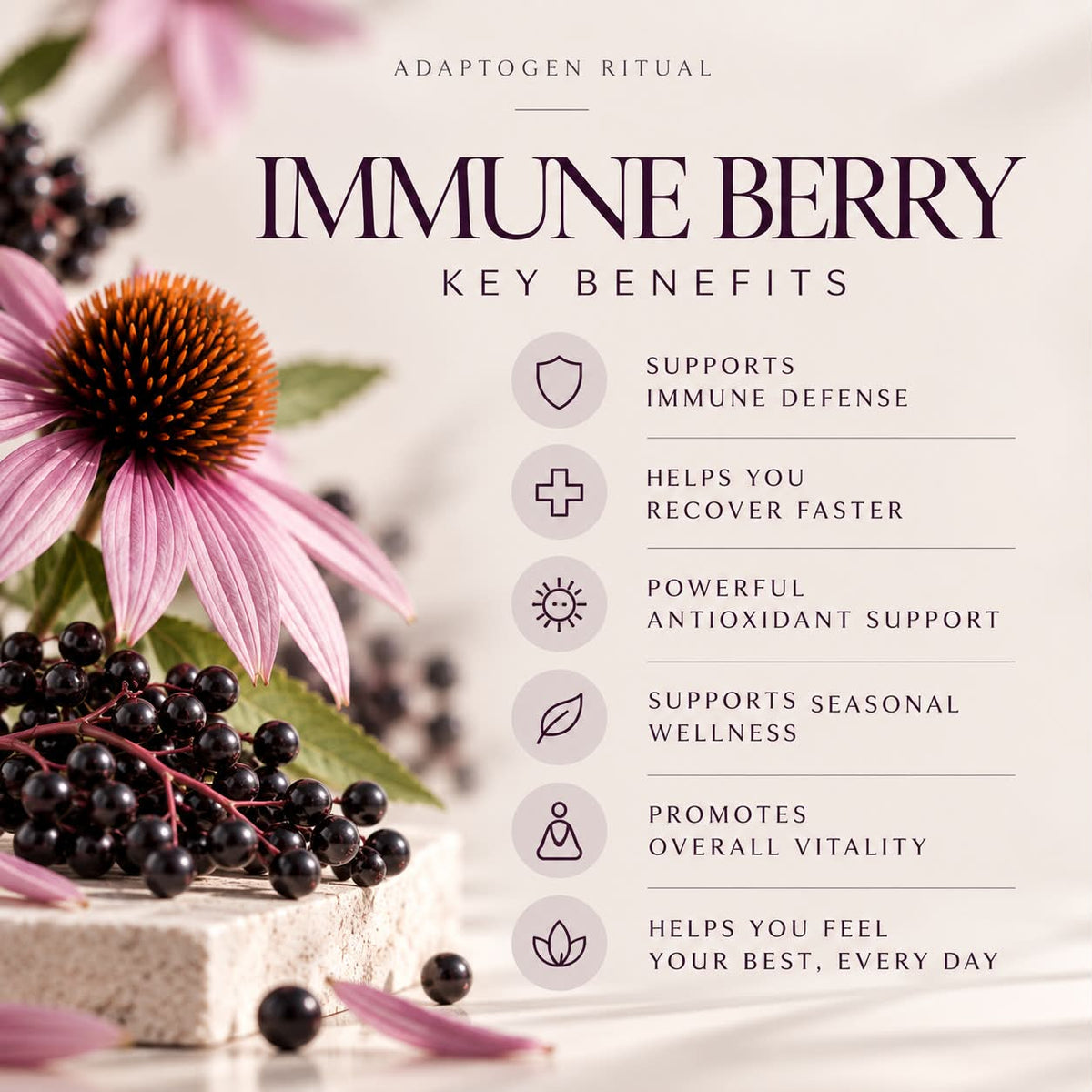Immune Berry