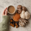 Fermented Mushroom Blend