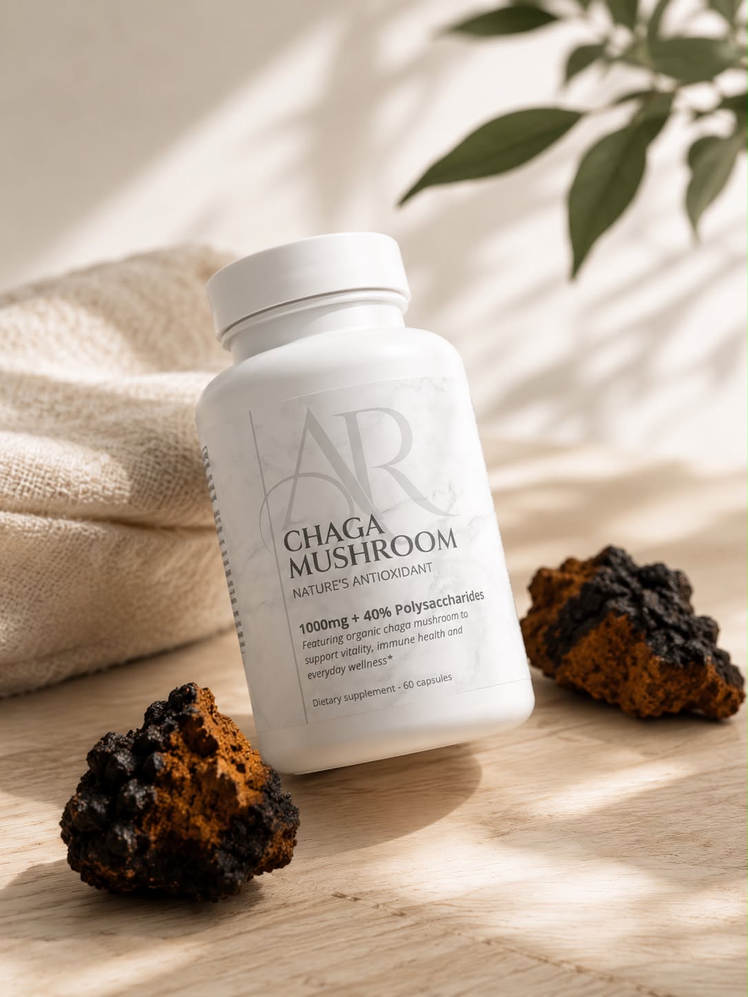 Chaga Mushroom