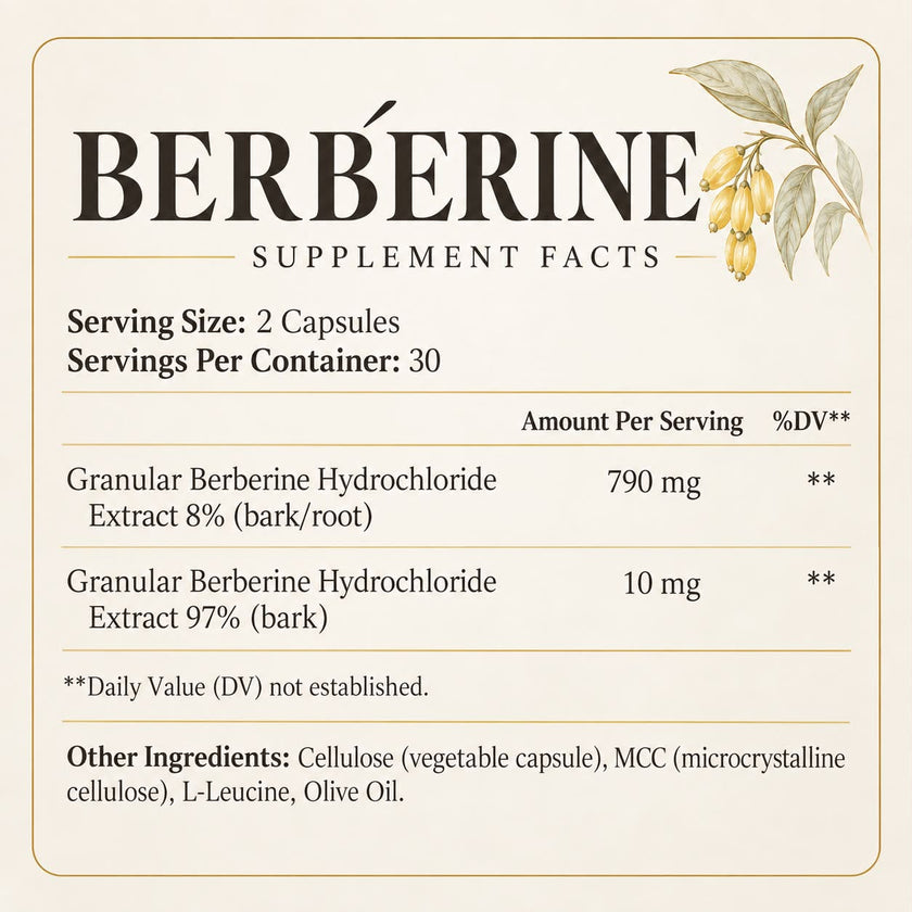 Berbérine_
