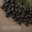 Alpha Palmetto
