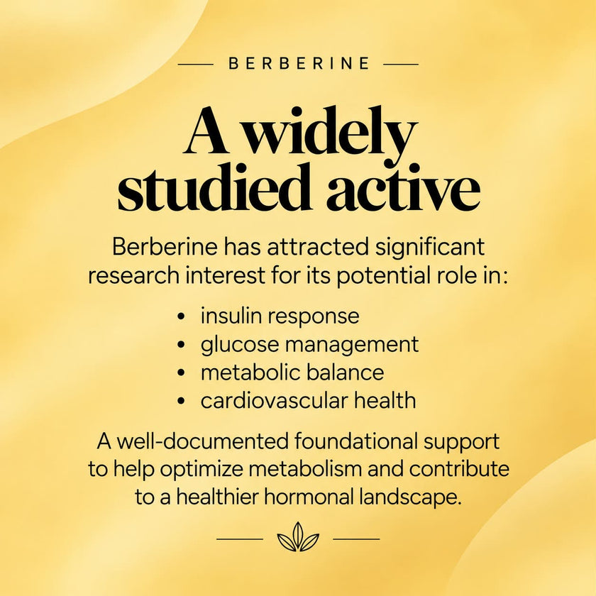 Berbérine_